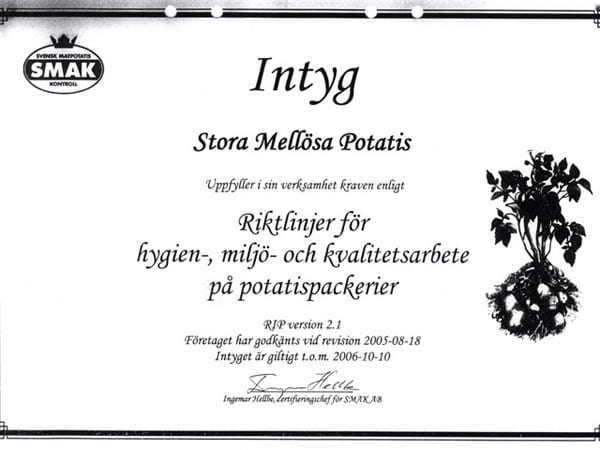 intyg2